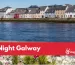 Stag Night Galway